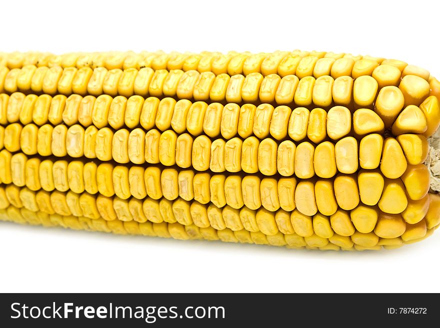 Corn on a white background. Corn on a white background