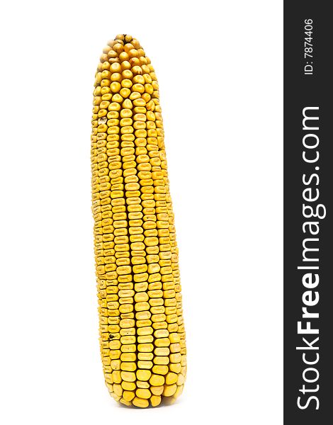 Vertical Corn