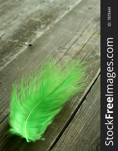 Green feather on old wooden background, closeup