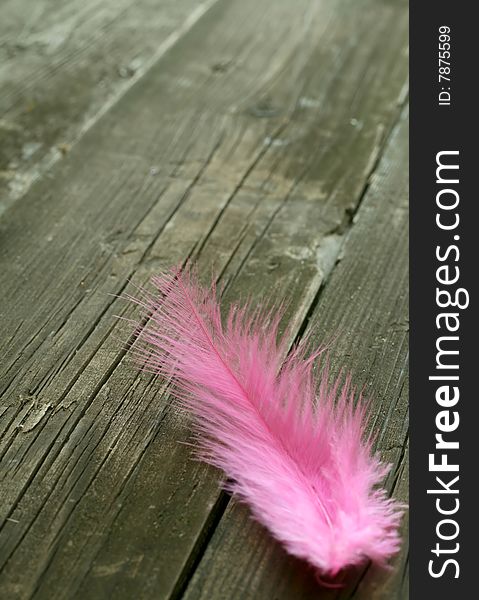 Pink feather on old wooden background, closeup