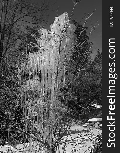 Ice Tree Sculpture