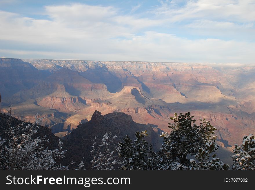 The grand canyon through the snow covered trees. The grand canyon through the snow covered trees