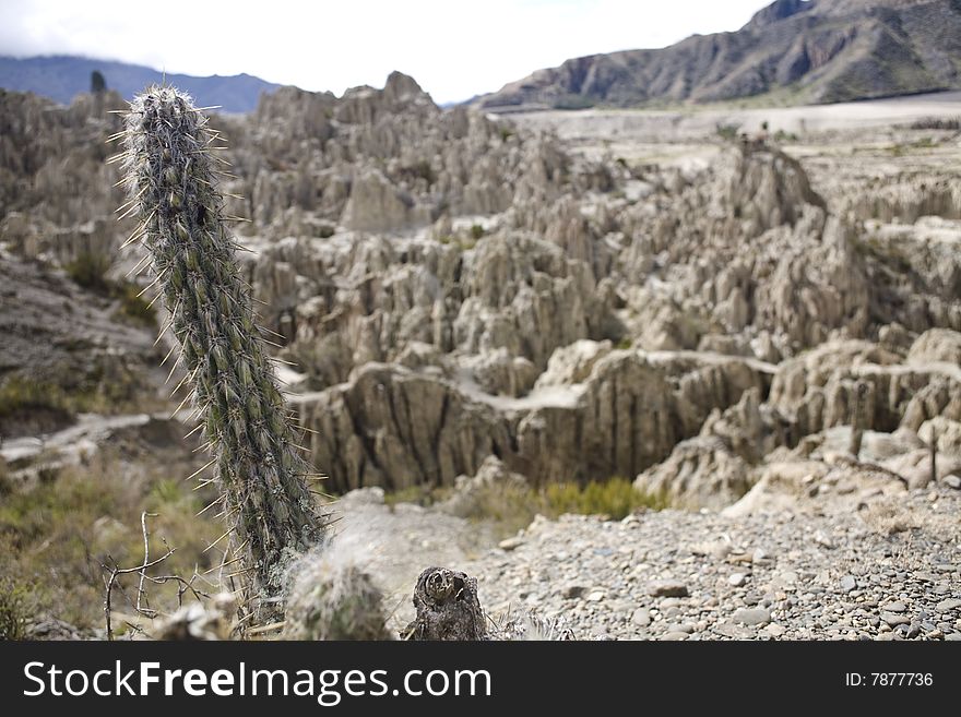 The Valle de la Luna (Valley of the Moon) is a bizarre, almost lunar landscape formed by the erosion of salt mountains.