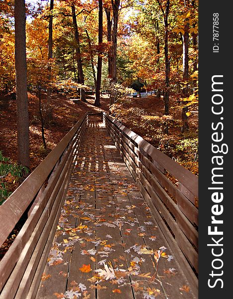 Bridge in autumn with falling leaves. Bridge in autumn with falling leaves