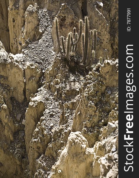 The Valle de la Luna (Valley of the Moon) is a bizarre, almost lunar landscape formed by the erosion of salt mountains.