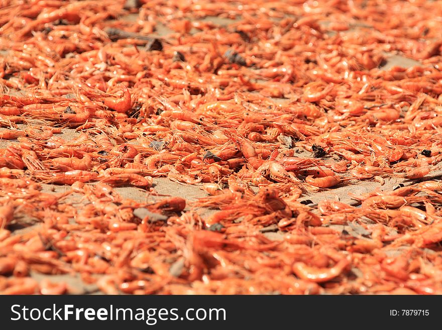Shrimps on the sun, Cambodia