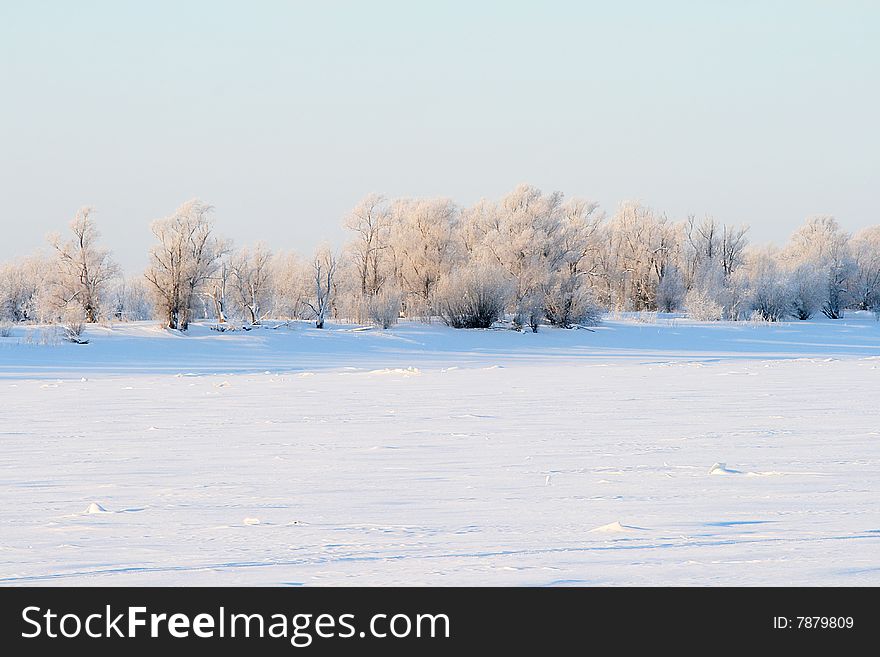 Winter landscape. Freezing morning. Snow landscape. Winter landscape. Freezing morning. Snow landscape.