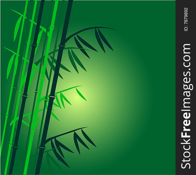 Background from a green bamboo