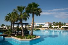 Free Palm Tree In Pool Stock Photography - 7881362