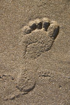 Free Footprint On Sand Royalty Free Stock Images - 7881529