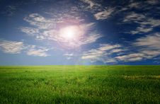 Grass Field And Blue Sky Stock Images