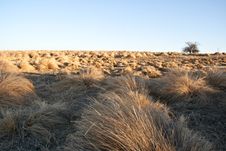 Grassland Royalty Free Stock Images Grassland Royalty Free Stock Images