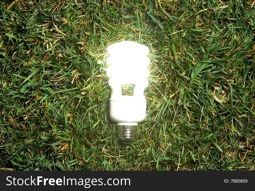 Green Light Bulb glowing in the grass