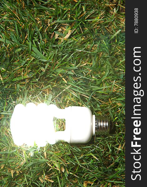 Green Light Bulb glowing in the grass