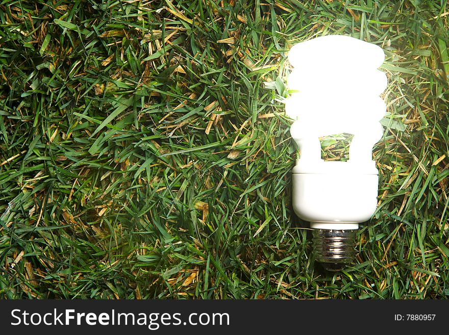 Green Light Bulb glowing in the grass