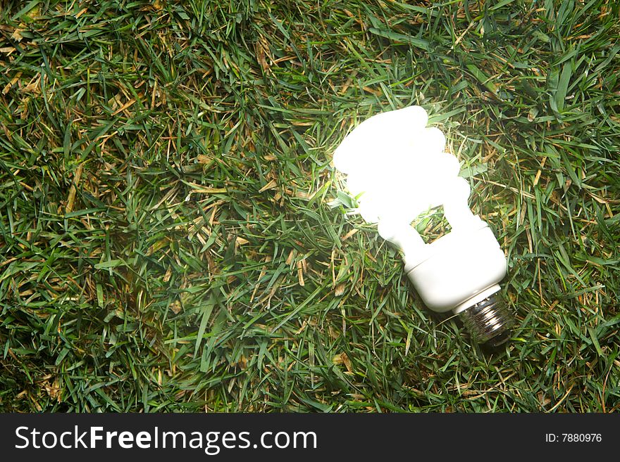 Green Light Bulb glowing in the grass