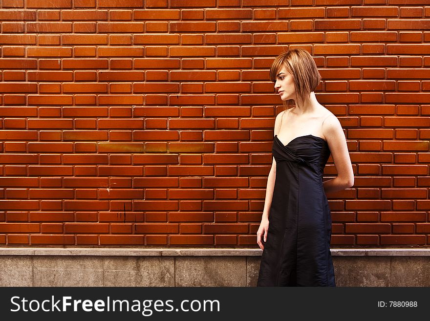 Young elegant blond woman on brickwall. Young elegant blond woman on brickwall