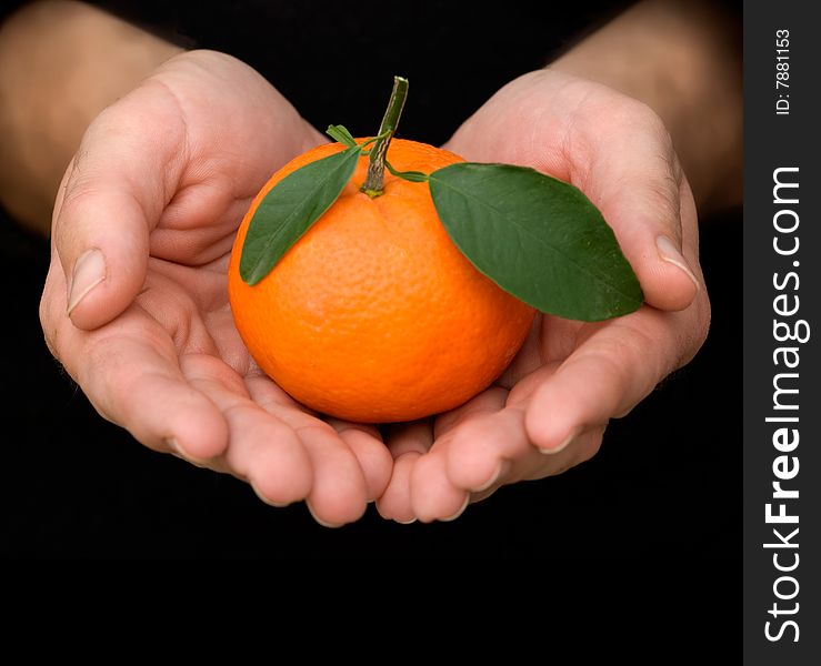 Hands holding tangerine with leaves