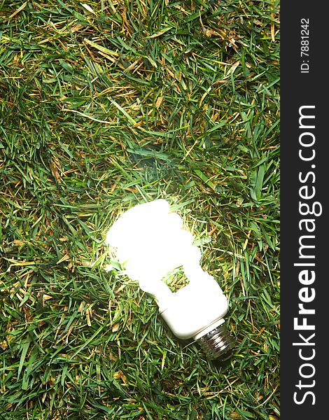 Green Light Bulb glowing in the grass