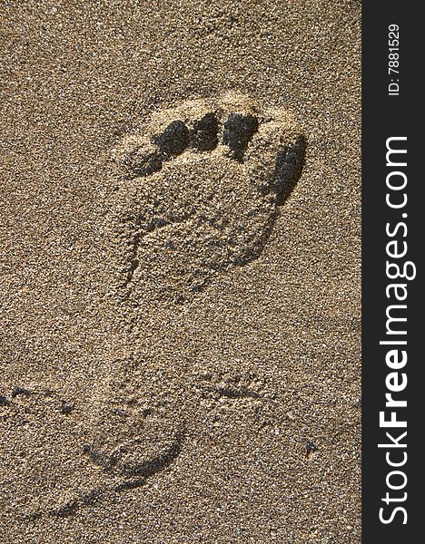 Footprint on sand on sea shore