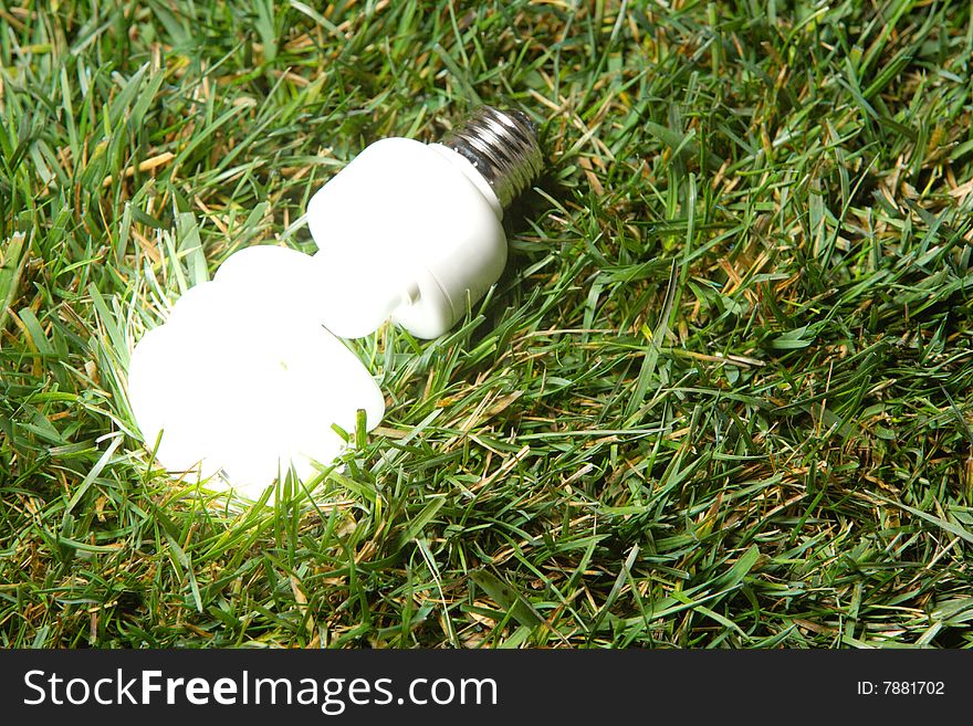 Green Light Bulb glowing in the grass