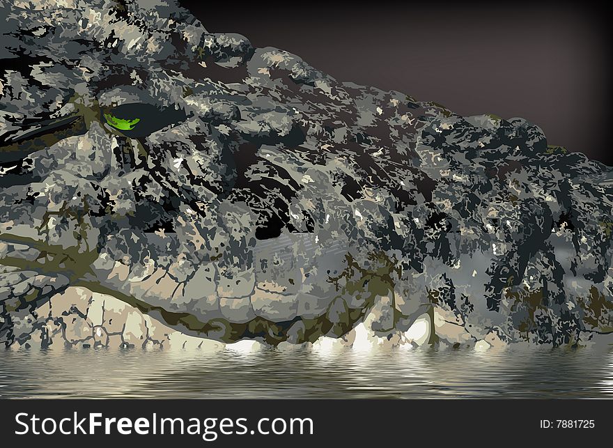 Crocodile presentation in this graphic illustration.