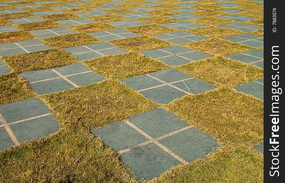 Square grid ground in the garden