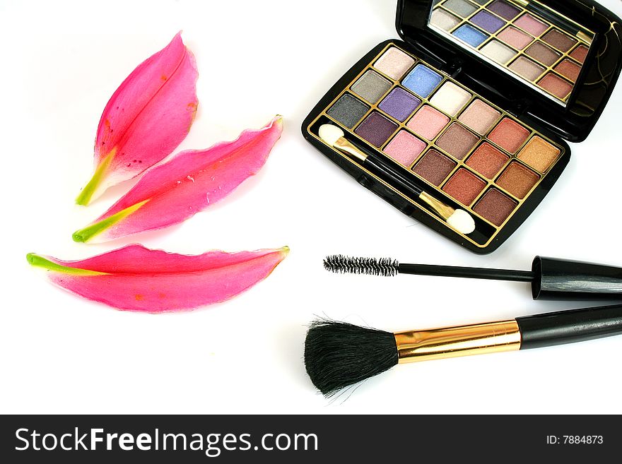 Decorative cosmetics for drawing a make-up. Decorative cosmetics for drawing a make-up