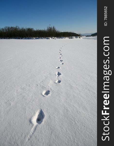 Footprints in snow on a sunny winter day. Footprints in snow on a sunny winter day.