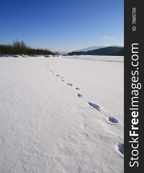 Footprints in snow on a sunny winter day. Footprints in snow on a sunny winter day.