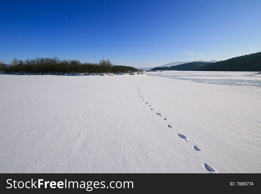 Footprints in snow on a sunny winter day. Frozen lake shore on the right. Footprints in snow on a sunny winter day. Frozen lake shore on the right.