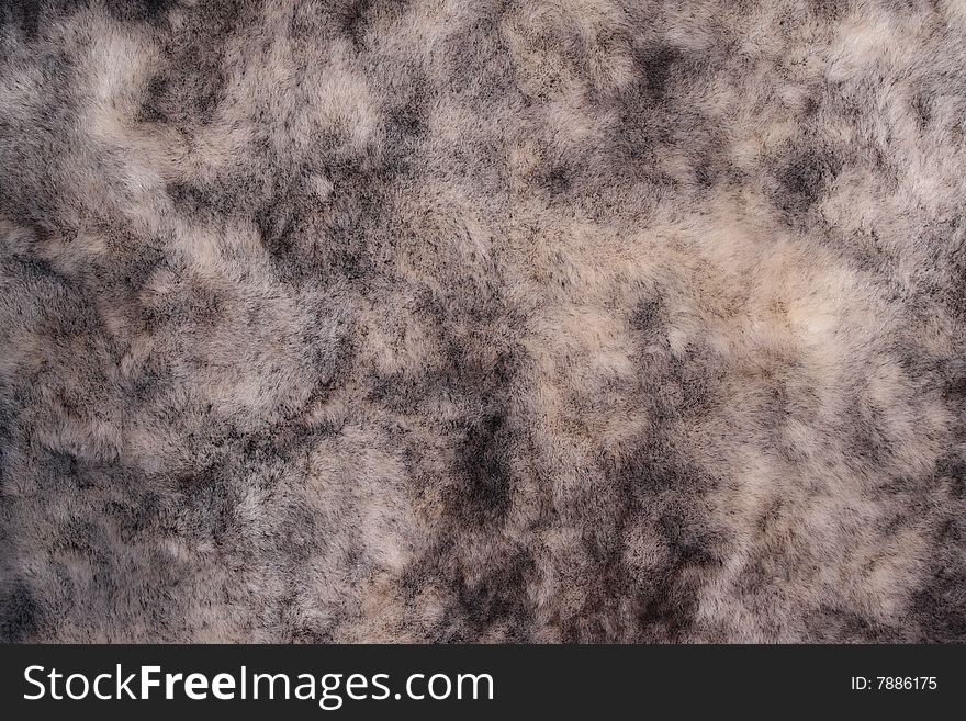 Impressive background from natural fur of grey color in divorces