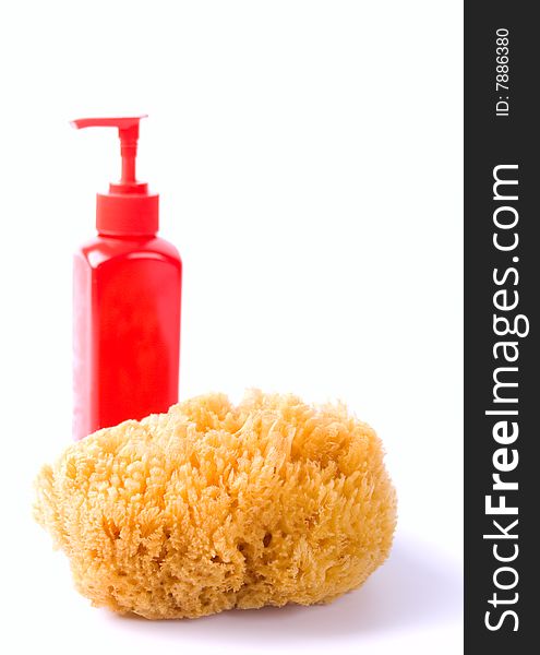 Natural sponge and body lotion on white background
