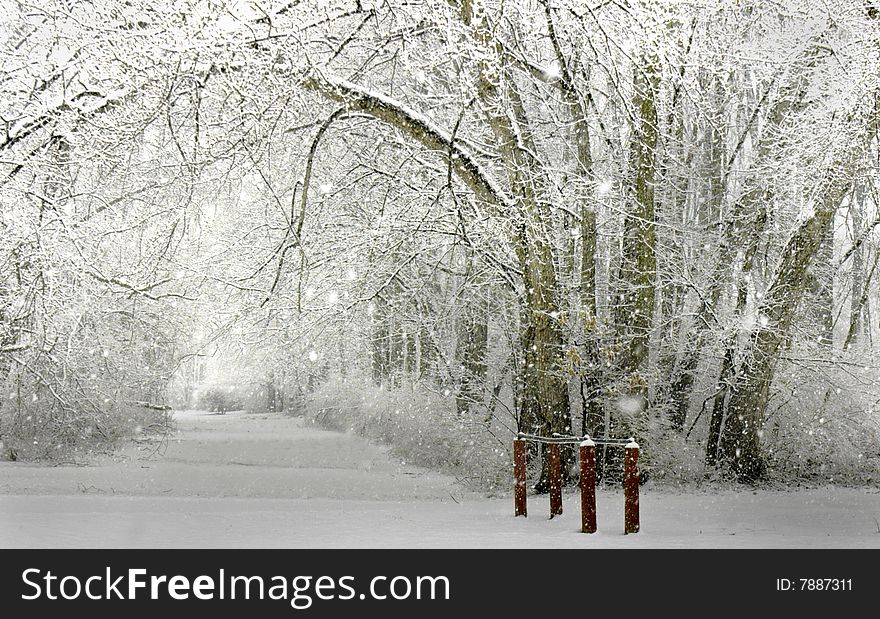 A snow day at Van Dyke Park. A snow day at Van Dyke Park.