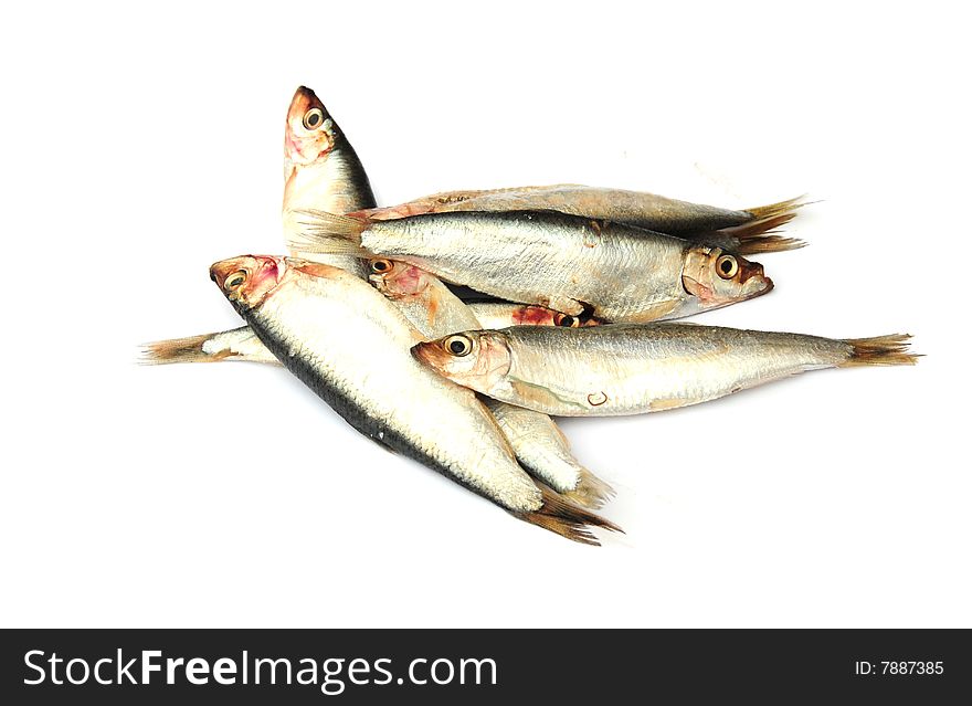 Sprat