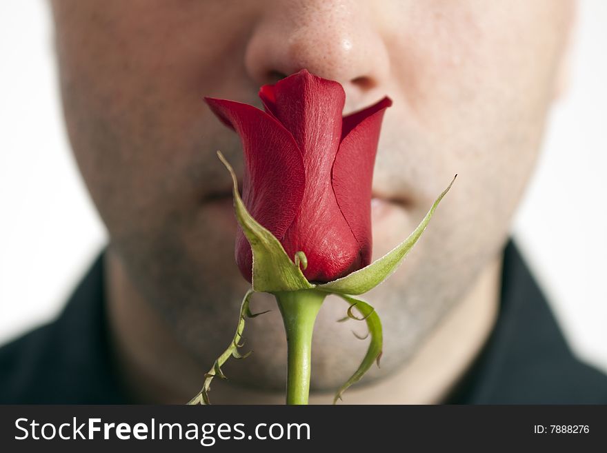 Young man, holding a red rose in front of his face. Young man, holding a red rose in front of his face