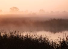 Misty Morning At Pond Stock Image Misty Morning At Pond Stock Image