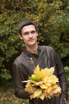 Handsome Man In An Autumnal Park Stock Images