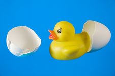 Rubber Duck In Broken Eggshell Stock Images