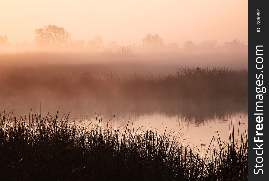 Misty Morning At Pond