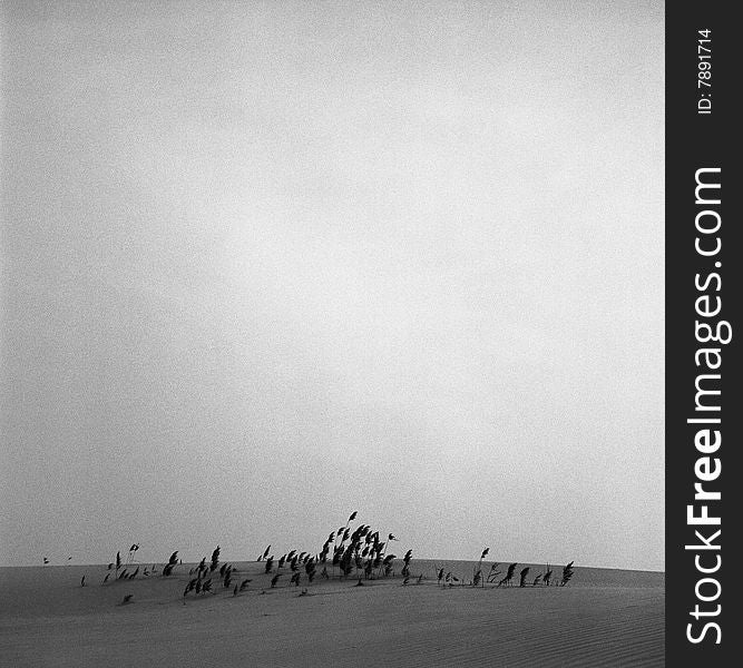 Taken at China's east coast area in winter. It was very cold that day, and I only shot a few frames with my Rollei 2.8F. My 4x5 Linhof never left my camera bag. Taken at China's east coast area in winter. It was very cold that day, and I only shot a few frames with my Rollei 2.8F. My 4x5 Linhof never left my camera bag.