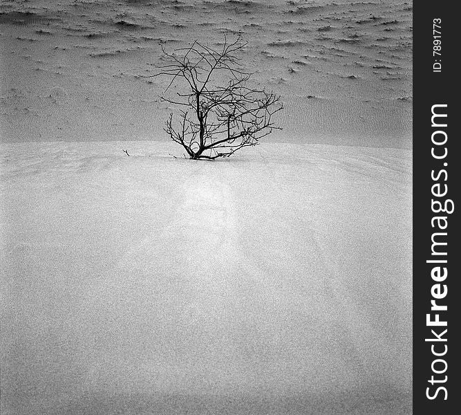 Taken with Rollei 2.8F, black and white film. Taken with Rollei 2.8F, black and white film.
