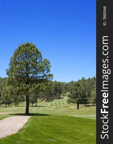 An image of a lush Arizona golf course