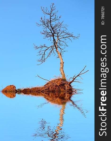 Lonely dry tree on small island flooding in water. Lonely dry tree on small island flooding in water
