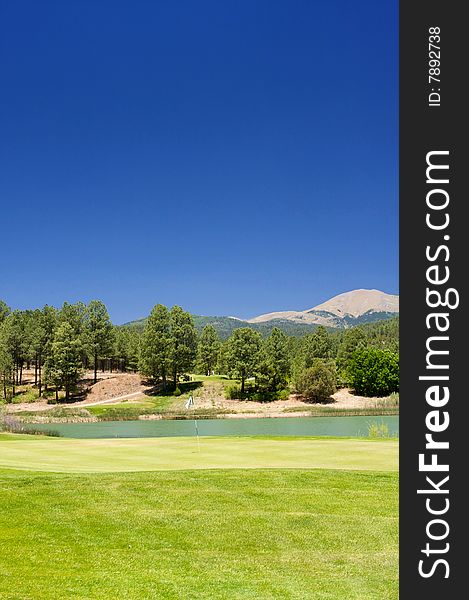 An image of a golf hole with a large tree nearby. An image of a golf hole with a large tree nearby