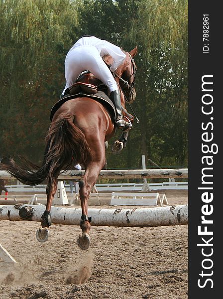 Equestrian sportsman on horse jumping over barrier. Equestrian sportsman on horse jumping over barrier