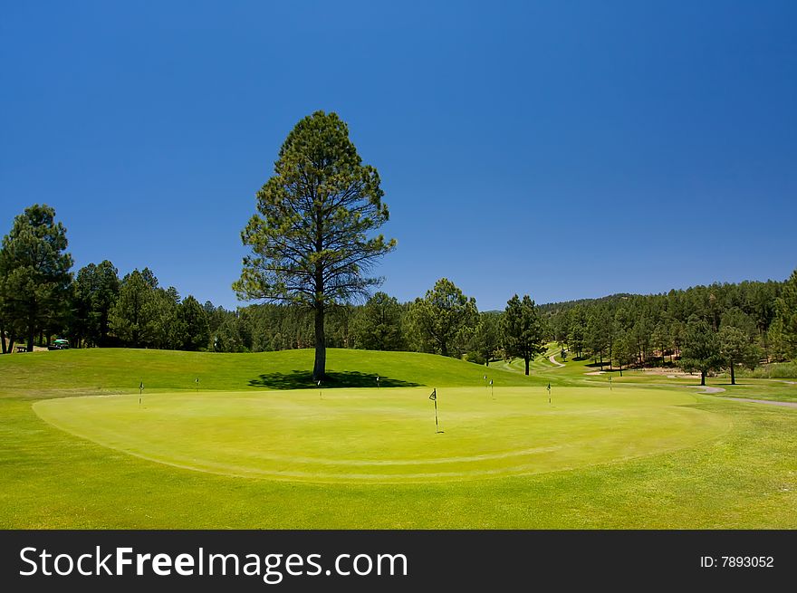 An image of a golf hole with a large tree nearby. An image of a golf hole with a large tree nearby