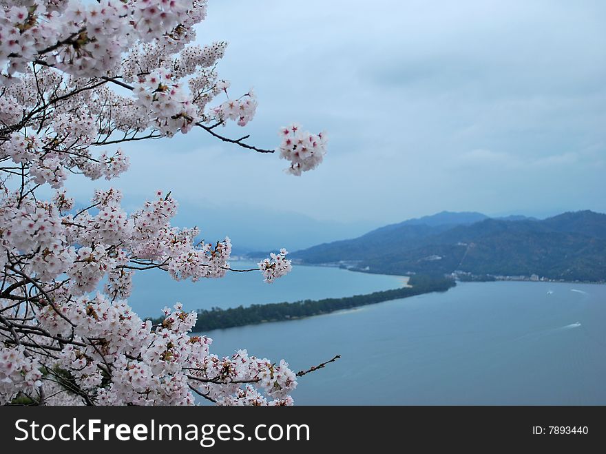 Amanohashidate, one of the three great views of Japan, known for its dragon-shaped shoreline when viewed upside down