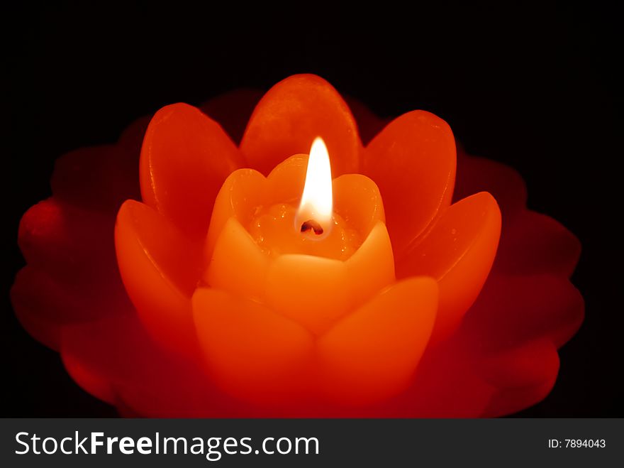 Three orange burning flower shape candles on dark background. Three orange burning flower shape candles on dark background