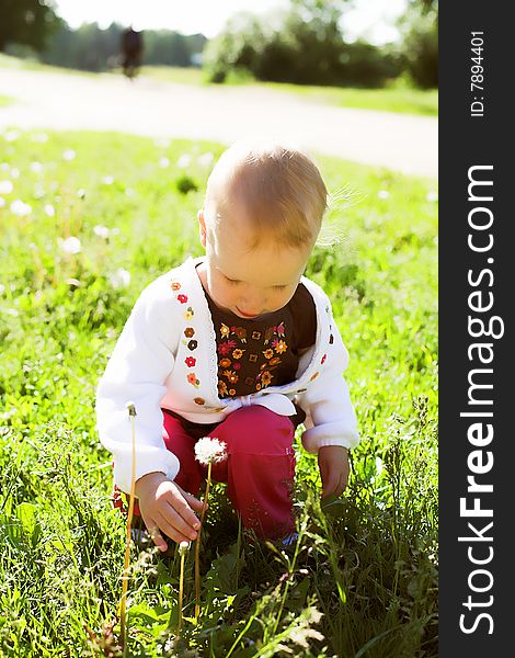 Portrait of a cute child picking a dandelion in sunny summer day